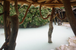 鶴の湯温泉